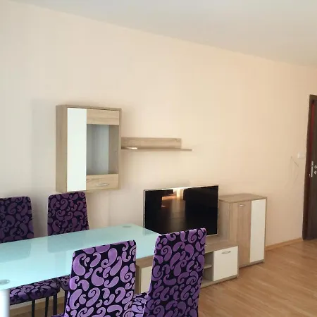 Ivanov Luxury Apartment *