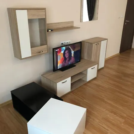 Ivanov Luxury Apartment *